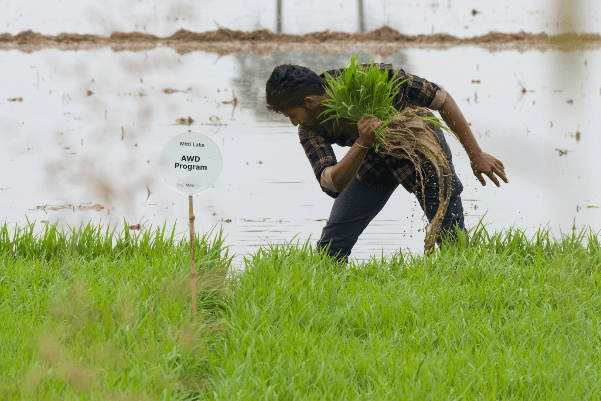 When does a farming practice become a carbon credit?