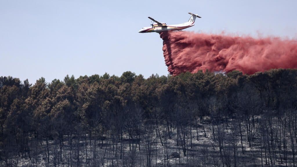 Europe is burning: shifting baselines of summer wildfire frequency